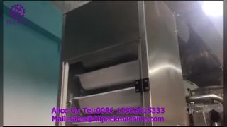 2284 J122 Máy đóng gói bánh bao đông lạnh làm túi cuộn màng dọc
