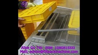 2154 U6 Straight-Line Plastic Crate Washer