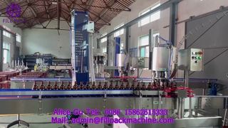 Máy đóng nắp tự động 6 đầu Crown Cap 2216 J118