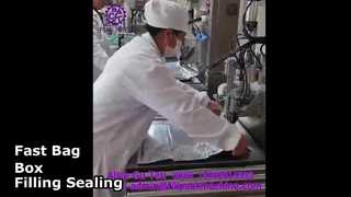 Máy đóng gói và đóng gói túi trong hộp một đầu bán tự động 2108 L14