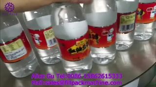 Máy dán nhãn nóng chảy đơn giản 2267 M31